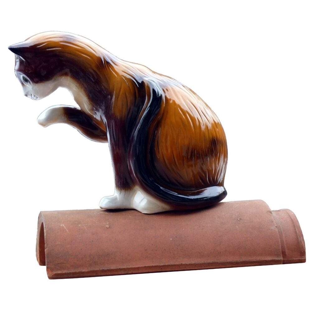 Katze mit Pfote