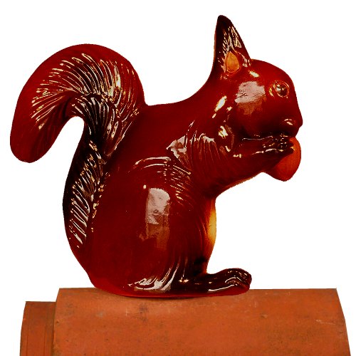 Eichhörnchen mit Nuss